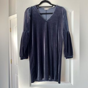 Madewell Knee Length Velvet Dress